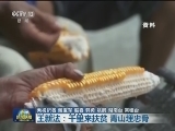 王新法：千里来扶贫 青山埋忠骨