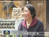 【春耕时节看农业供给侧结构性改革】村里来了城归新农人