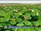 千年大计 国家大事——以习近平同志为核心的党中央决策河北雄安新区规划建设纪实