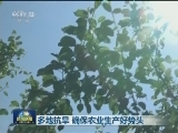 多地抗旱 确保农业生产好势头