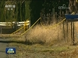 国际联播快讯