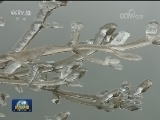 冷空气持续影响 局地降温超8℃