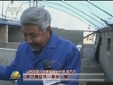 元旦海采：2018新年心愿