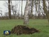 强风暴袭击欧洲 至少9人死亡