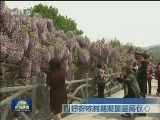 四好农村路凝聚基层民心