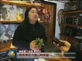 春节海采·你在哪里过年