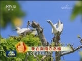了不起 新时代