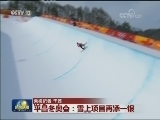 平昌冬奥会：雪上项目再添一银