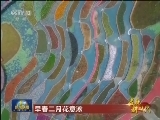 【启航新时代】早春二月花意浓