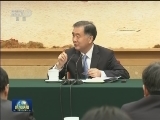 汪洋参加上海代表团审议