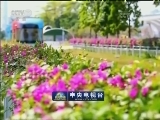 春天的中国