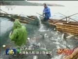 春天的中国