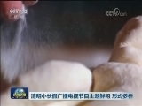 清明小长假广播电视节目主题鲜明 形式多样