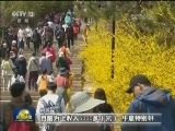春和景明 踏青感受好生活