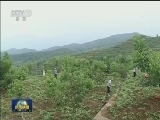 黄星：用生命书写扶贫责任担当