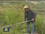 福建：激活红色基因 振兴老区经济
