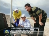 奋斗是什么