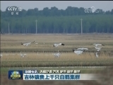 国内联播快讯