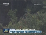 国内联播快讯