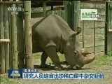 国际联播快讯