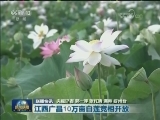 国内联播快讯