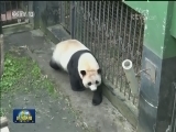 国内联播快讯