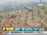 [第一时间]云南华坪:黑矿山变花果山 芒果产业富农家CCTV节目官网CCTV2央视网(cctv.com)