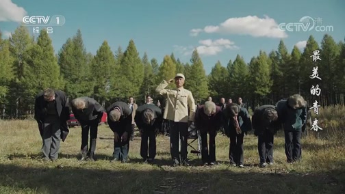 《最美的青春》隋志超把沈梦茵的骨灰洒在林间