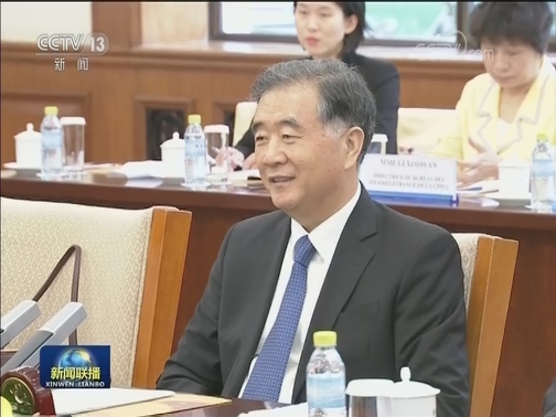 汪洋会见几内亚总统