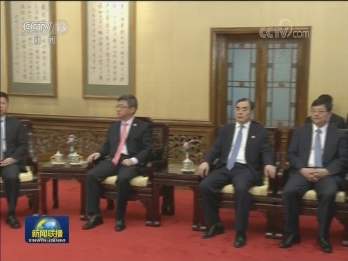 赵乐际会见中非总统