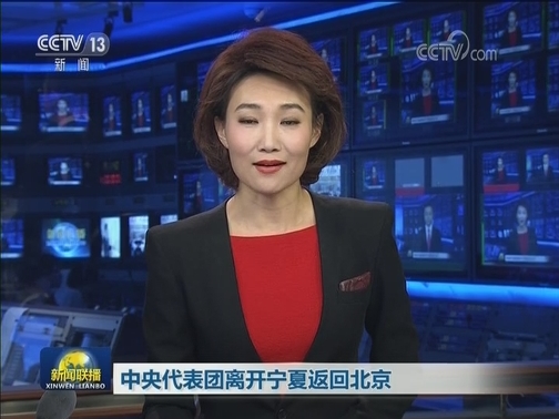 中央代表团离开宁夏返回北京