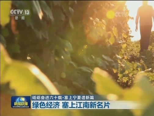【砥砺奋进六十载·塞上宁夏谱新篇】绿色经济 塞上江南新名片