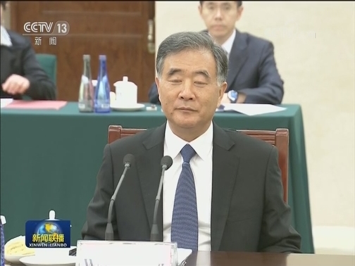 汪洋会见刚果（金）客人