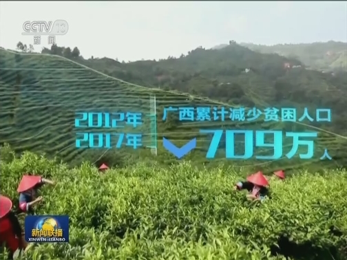 【辉煌60年·壮美新广西】因地制宜 走出特色脱贫路