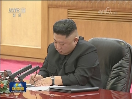 习近平同朝鲜劳动党委员长金正恩举行会谈
