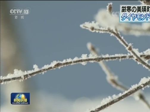 国际联播快讯