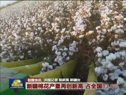 国内联播快讯