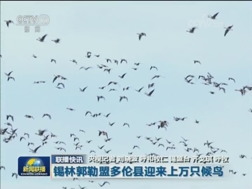 国内联播快讯