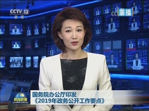 国务院办公厅印发《2019年政务公开工作要点》