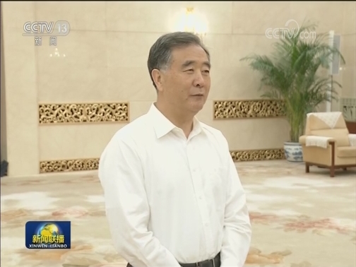 汪洋接见全国政协中非友好小组成员