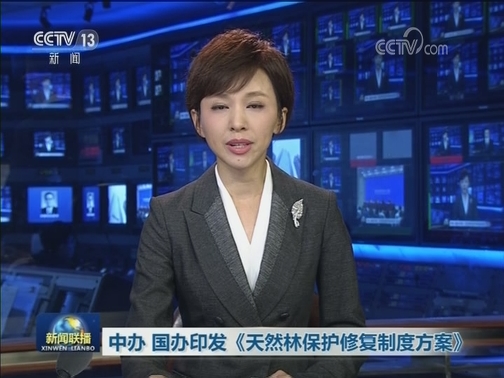 中办 国办印发《天然林保护修复制度方案》