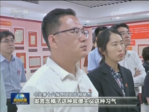 【“不忘初心、牢记使命”主题教育进行时】中央指导组：有的放矢 推动真抓实改