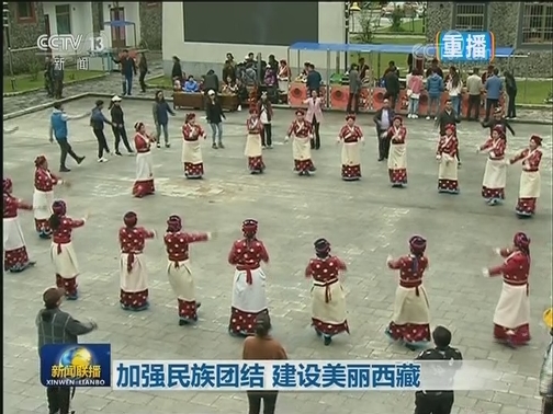 加强民族团结 建设美丽西藏