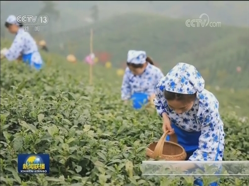 庆祝新中国成立70周年活动新闻中心举办第三场新闻发布会