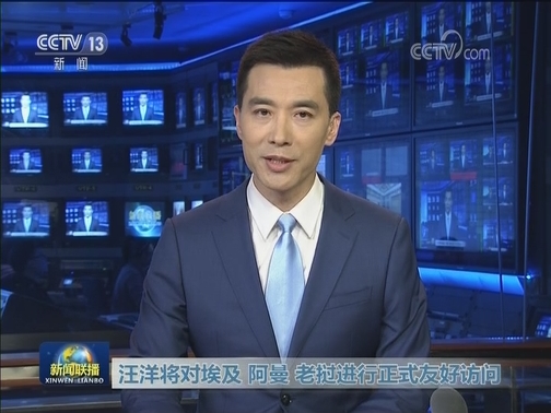 汪洋将对埃及 阿曼 老挝进行正式友好访问