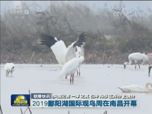 国内联播快讯