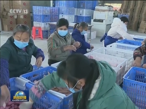 国务院扶贫办：做好疫情防控期间脱贫攻坚工作