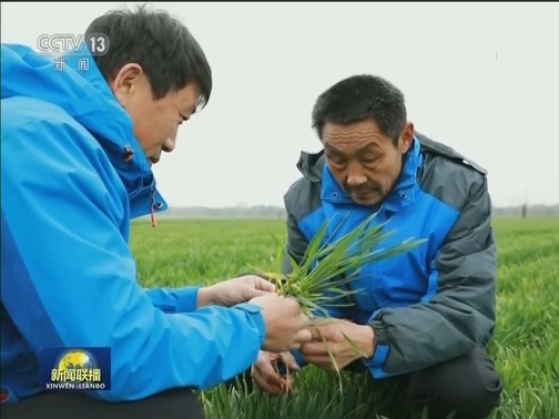山东：紧抓春耕备耕 推动乡村振兴