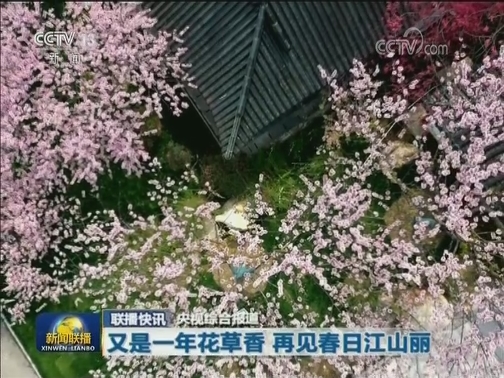 国内联播快讯