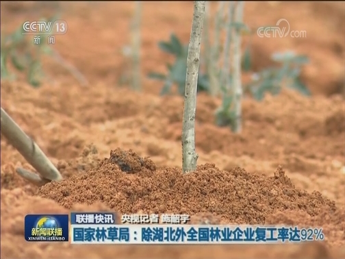 国内联播快讯